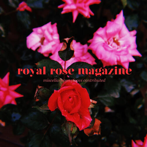 regularly contributed for Royal Rose Magazine